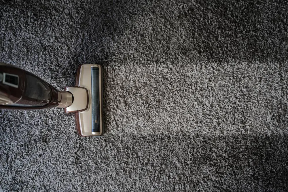 Vacuum head lifting dust from a deep-pile grey carpet
