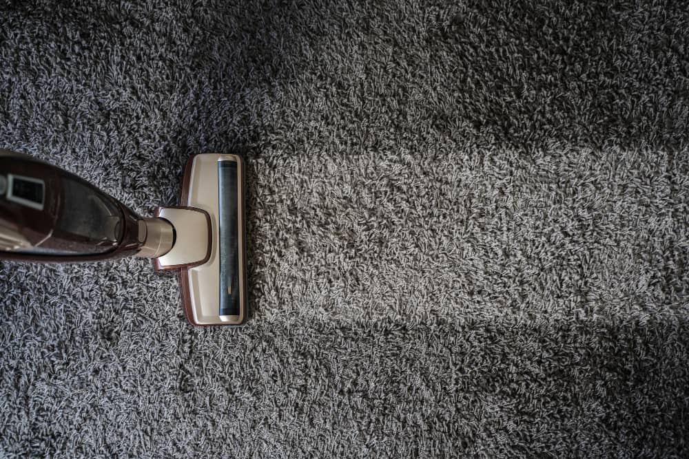 Carpet Cleaning in Limpopo