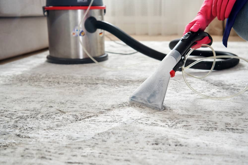 Carpet Cleaning in Limpopo