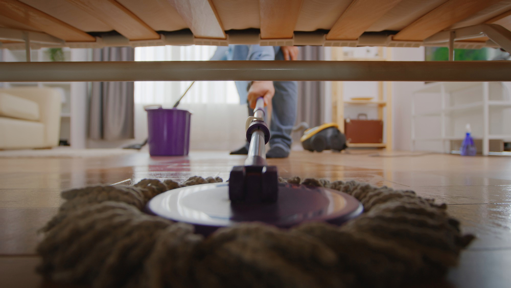 Residential Deep Cleaning in Limpopo
