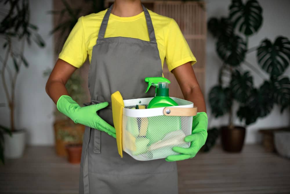 Cleaning Services in Limpopo